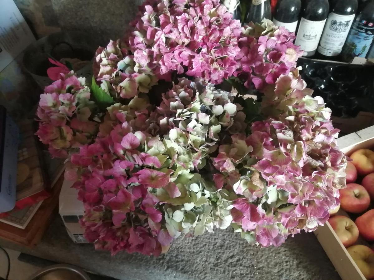Gite Hydrangea Lanhelin Eksteriør bilde